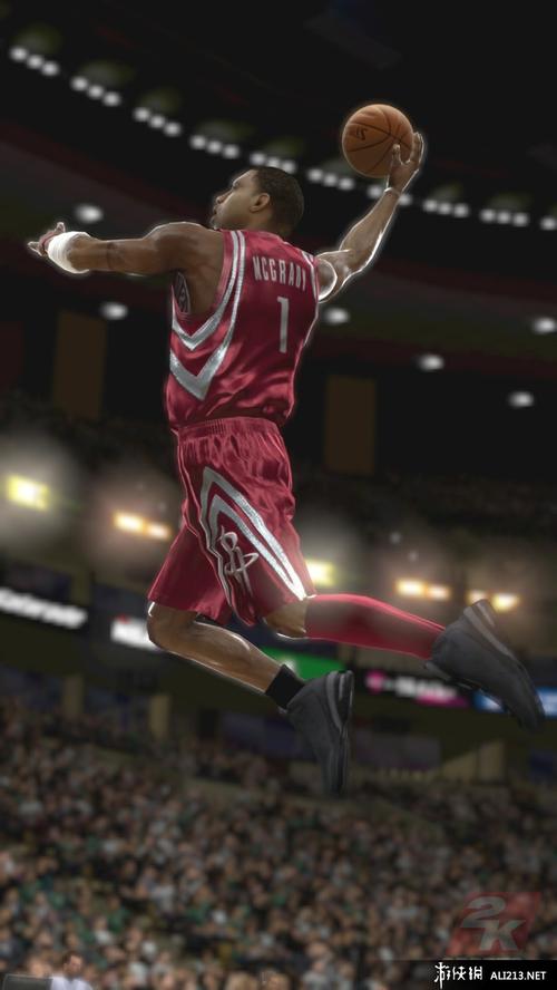 的主导下 的主导下