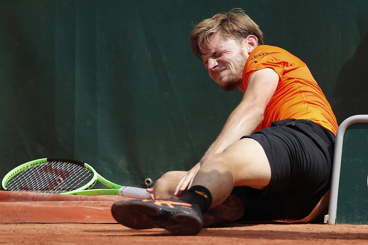 提供了强大 提供了强大