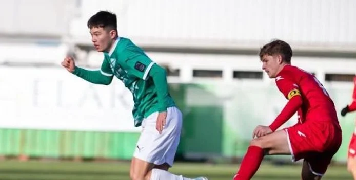 的大力推动 的大力推动